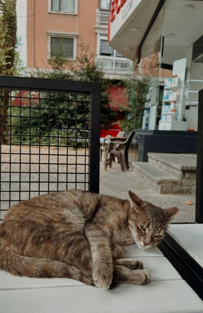 Şöyle bir şey tüm dertlerinizi unutturabilir mi?
