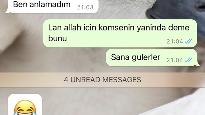 Ehliyet almak istiyorum sevgilimn verdigi tepki bu dogrumu sizce?