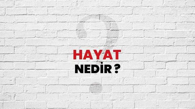 Hayat sence nedir?