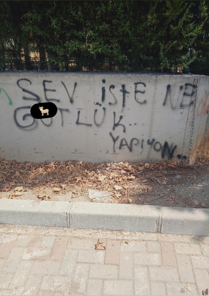 Kendi sansürümü kendim yaparım