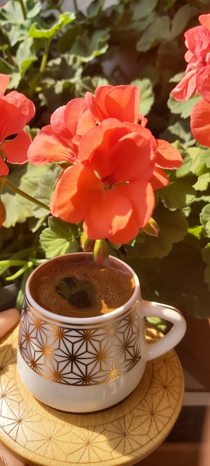 Benim balkonum💗