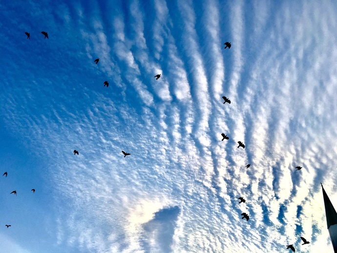 Bugün Dünya Fotoğraf Günü! 📷 Çekmiş olduğun en güzel fotoğrafı bizimle paylaşır mısın?