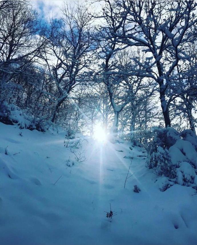 Bugün Dünya Fotoğraf Günü! 📷 Çekmiş olduğun en güzel fotoğrafı bizimle paylaşır mısın?