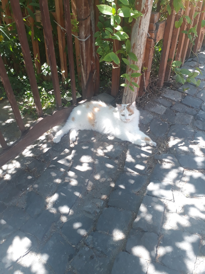Bugün Dünya Fotoğraf Günü! 📷 Çekmiş olduğun en güzel fotoğrafı bizimle paylaşır mısın?