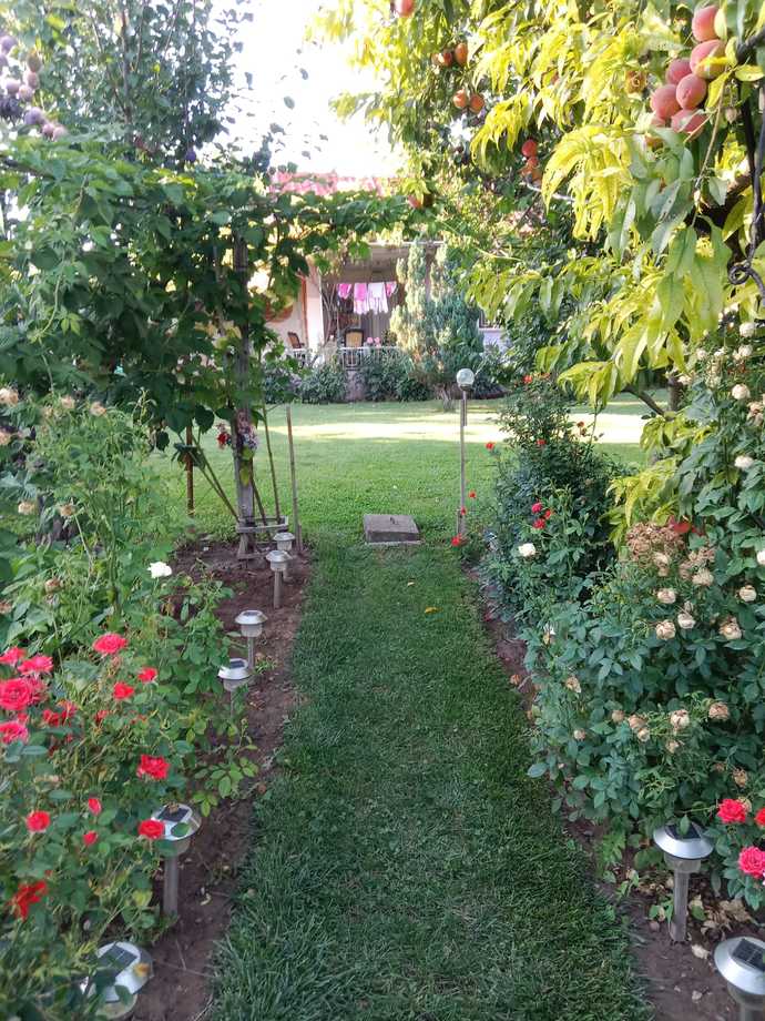 Bugün Dünya Fotoğraf Günü! 📷 Çekmiş olduğun en güzel fotoğrafı bizimle paylaşır mısın?