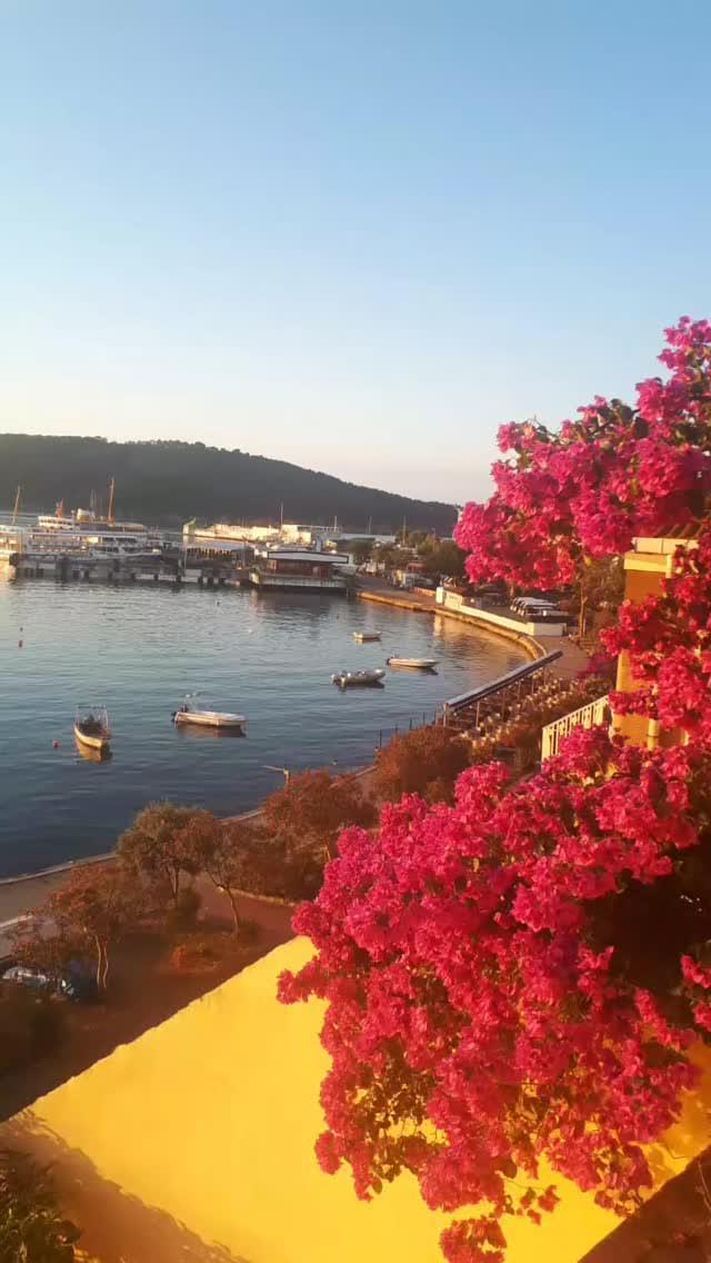 Bugün Dünya Fotoğraf Günü! 📷 Çekmiş olduğun en güzel fotoğrafı bizimle paylaşır mısın?
