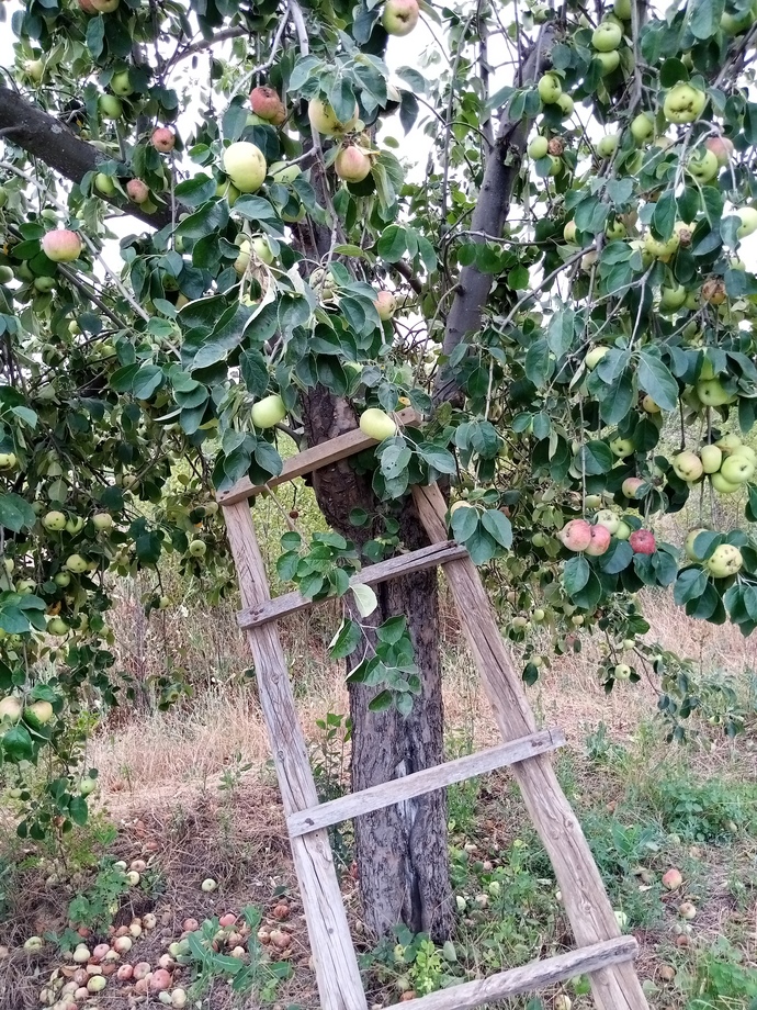 Bugün Dünya Fotoğraf Günü! 📷 Çekmiş olduğun en güzel fotoğrafı bizimle paylaşır mısın?