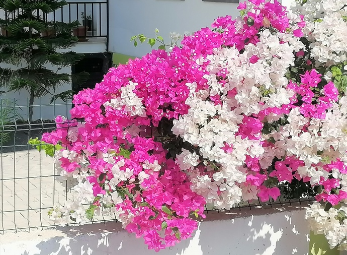 Bugün Dünya Fotoğraf Günü! 📷 Çekmiş olduğun en güzel fotoğrafı bizimle paylaşır mısın?