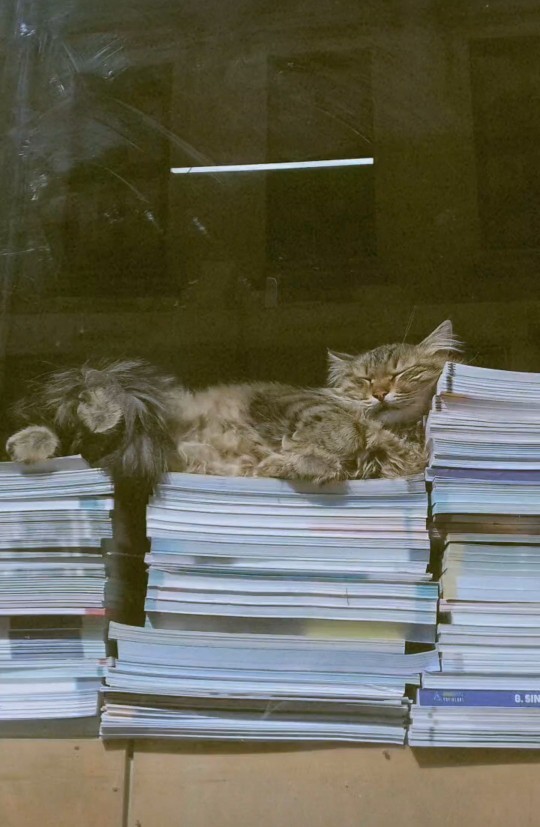 Bugün Dünya Fotoğraf Günü! 📷 Çekmiş olduğun en güzel fotoğrafı bizimle paylaşır mısın?