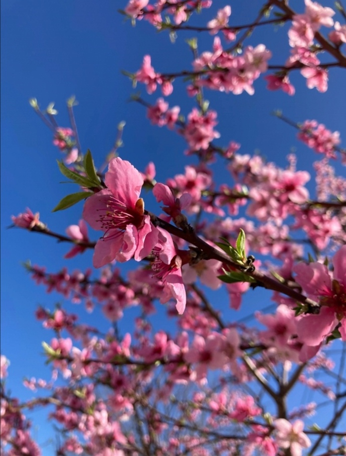 Bugün Dünya Fotoğraf Günü! 📷 Çekmiş olduğun en güzel fotoğrafı bizimle paylaşır mısın?