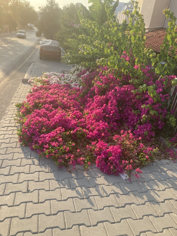 Bugün Dünya Fotoğraf Günü! 📷 Çekmiş olduğun en güzel fotoğrafı bizimle paylaşır mısın?
