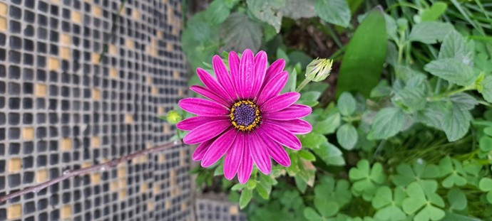 Bugün Dünya Fotoğraf Günü! 📷 Çekmiş olduğun en güzel fotoğrafı bizimle paylaşır mısın?