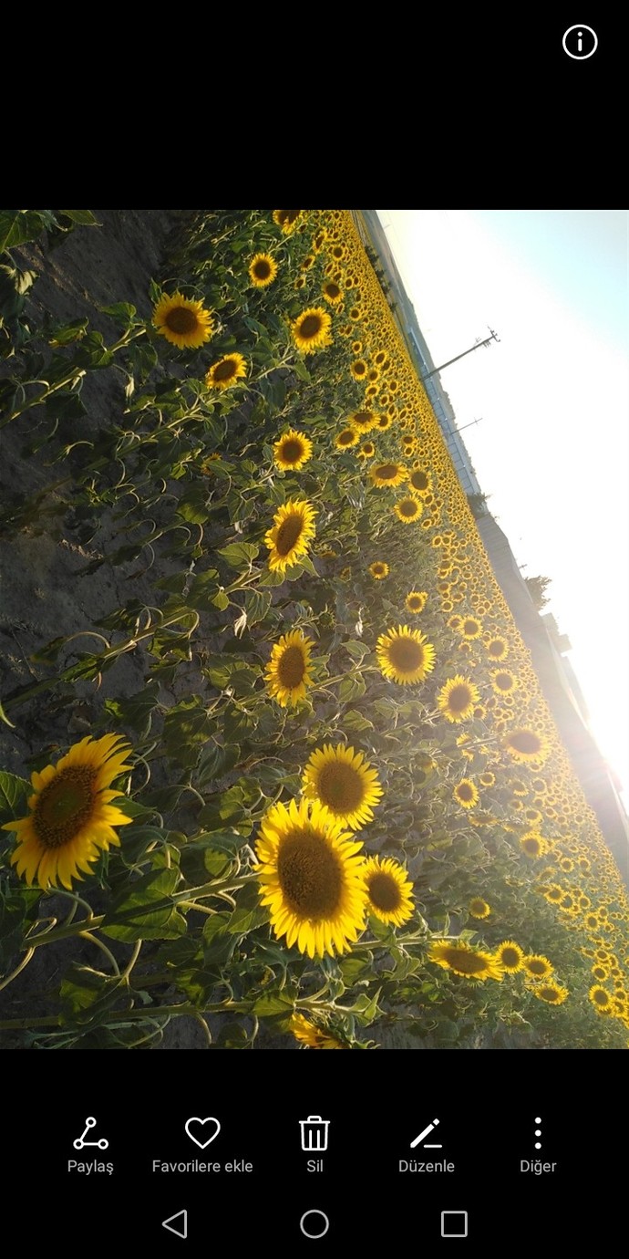 Bugün Dünya Fotoğraf Günü! 📷 Çekmiş olduğun en güzel fotoğrafı bizimle paylaşır mısın?