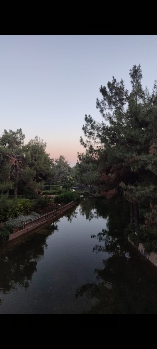 Bugün Dünya Fotoğraf Günü! 📷 Çekmiş olduğun en güzel fotoğrafı bizimle paylaşır mısın?