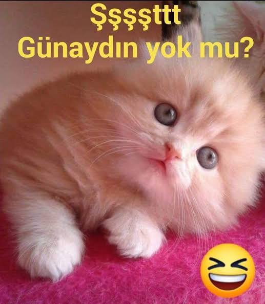 Günoooooo✨✨ uyanınn!!! Nasıl bir güne uyandınız?