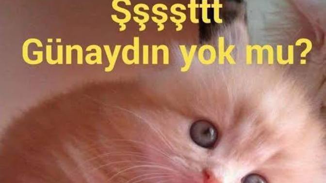 Günoooooo✨✨ uyanınn!!! Nasıl bir güne uyandınız?