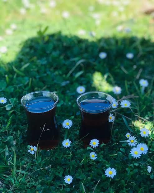 Her yaptığınız güzel olur mu?