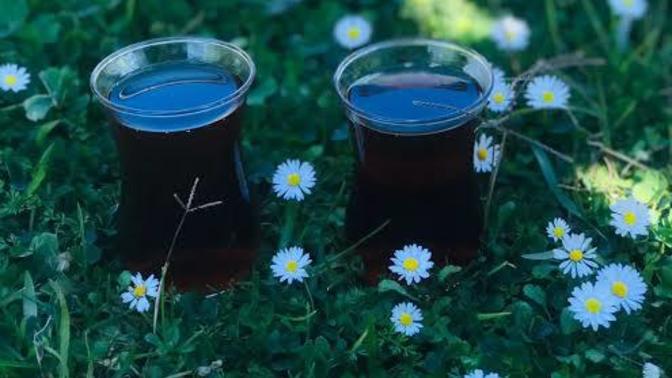 Her yaptığınız güzel olur mu?