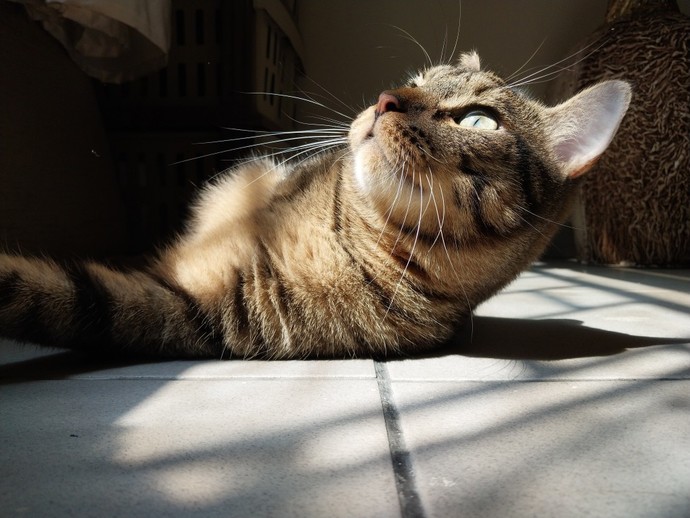 Bugün dünya fotoğraf gününde fotoğraf çektiniz mi?