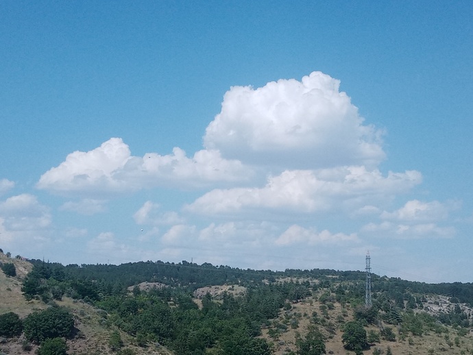 Bugün dünya fotoğraf gününde fotoğraf çektiniz mi?