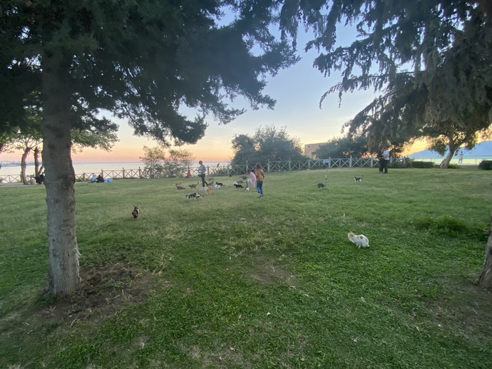 güzel bir günün sonu
