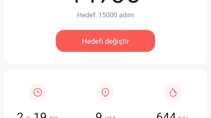 Hedeflerinize ulaşmada ne kadar başarılısınız?