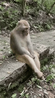 Akşam çayı/kahvesi içildi mi?