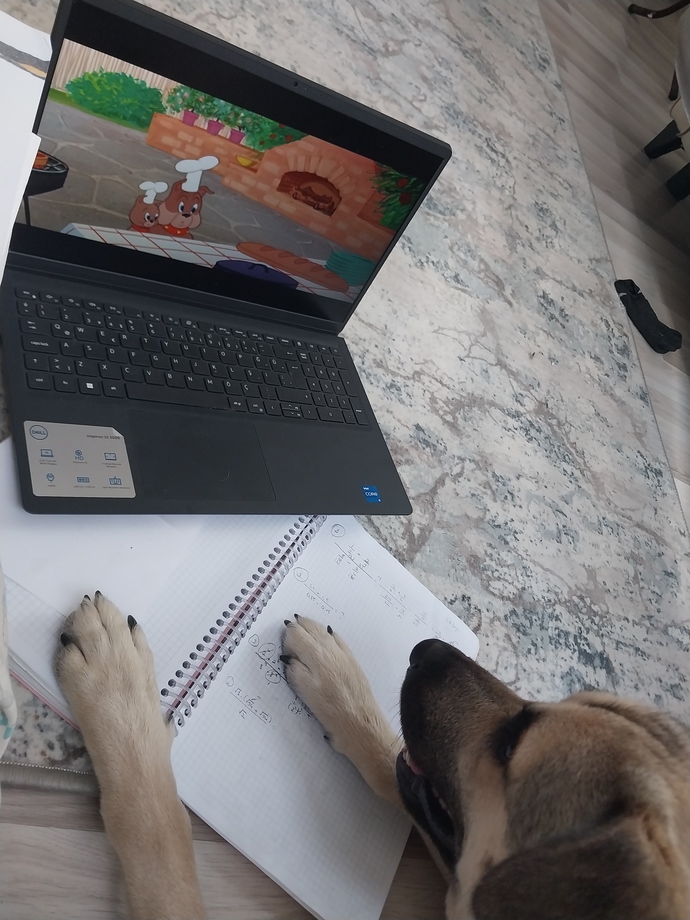 En son ne zaman çizgi film izlediniz?