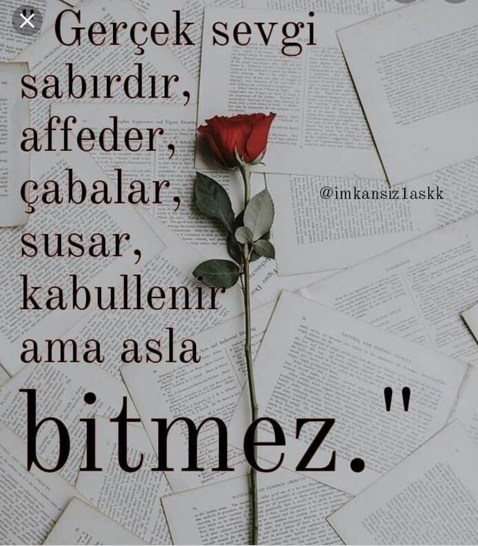 Erkekler soru sorduğunuzda başka bir erkeğin yorumda övülmesi sizi rahatsız eder mi? Ve neden?