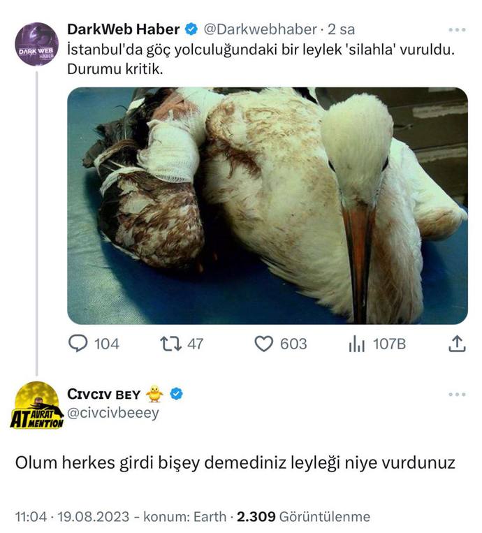 İstanbulda göç yolculuğundaki 1 leyleğin vurulması hakkında ne düşünüyorsunuz?