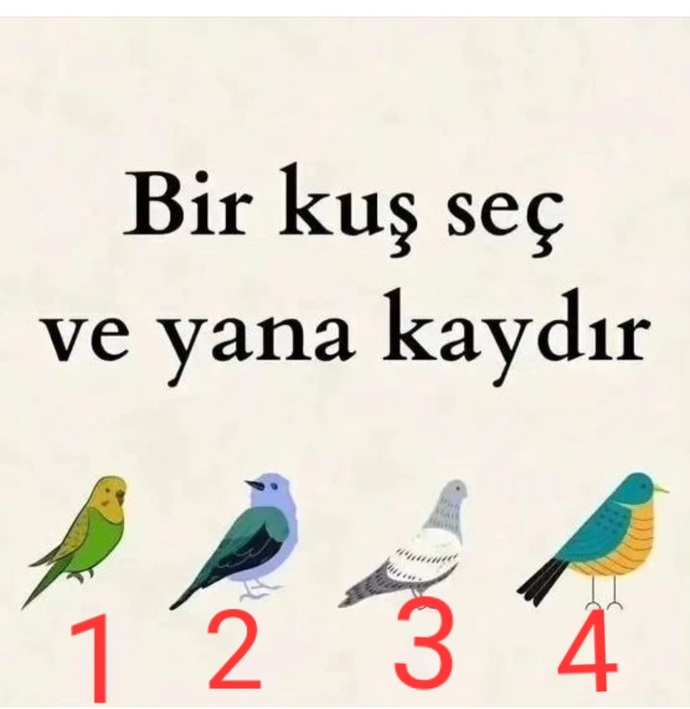 Resimdeki bir kuş seç nasibinde hangi soz var bende yazıyım?
