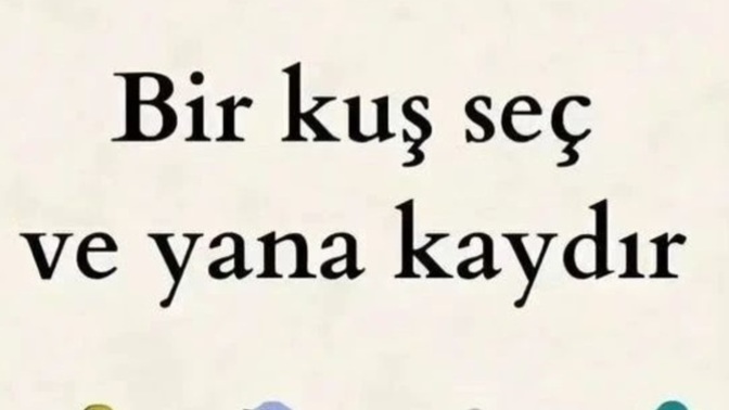 Resimdeki bir kuş seç nasibinde hangi soz var bende yazıyım?