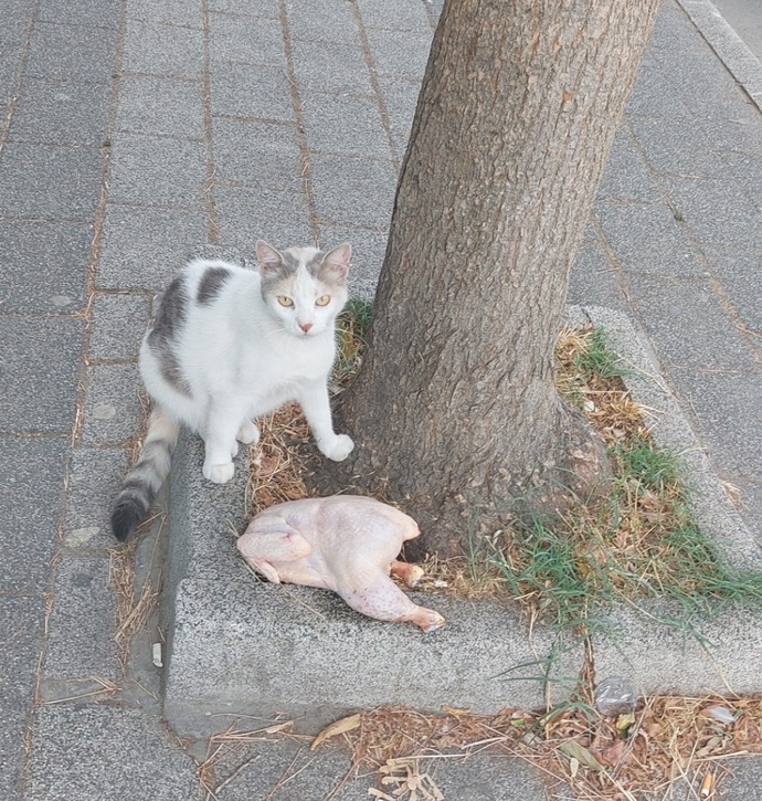Şuna bakar mısınız?