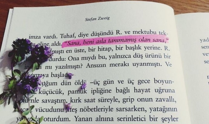Kitap okurken beğendiğiniz yerlerin altını çizer misiniz?