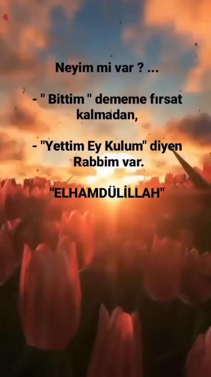 Kulun gücü bittiği yerde ne vardır?