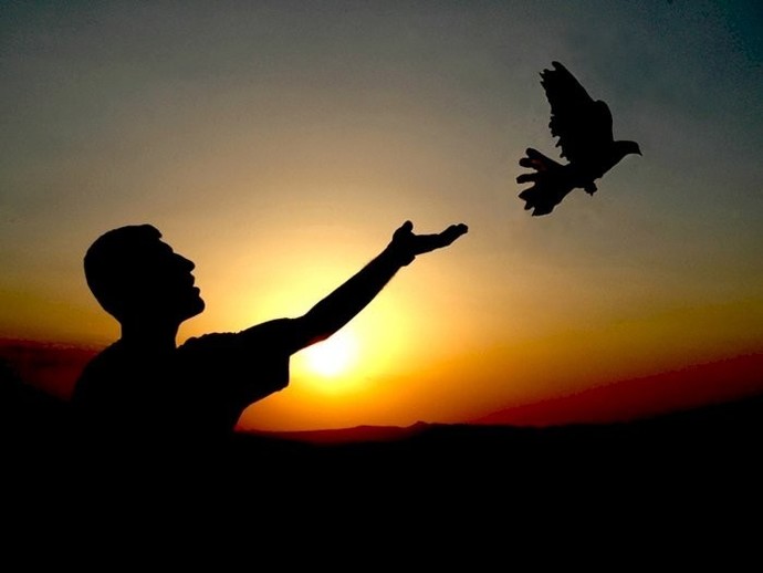 Ayrı eve çıkmak, özgür olmak güzel mi?