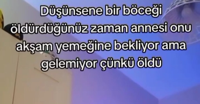 Böcek öldürüp hiç pişman olduğunuz oldu mu?