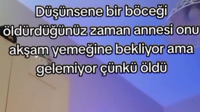 Böcek öldürüp hiç pişman olduğunuz oldu mu?