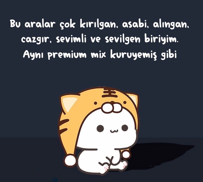 Tam olarak böyleyimmm ahah 🤷🏻♀️