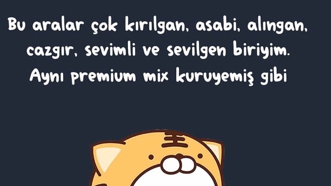 Kendinizi bu aralar nasıl hissediyorsunuz?
