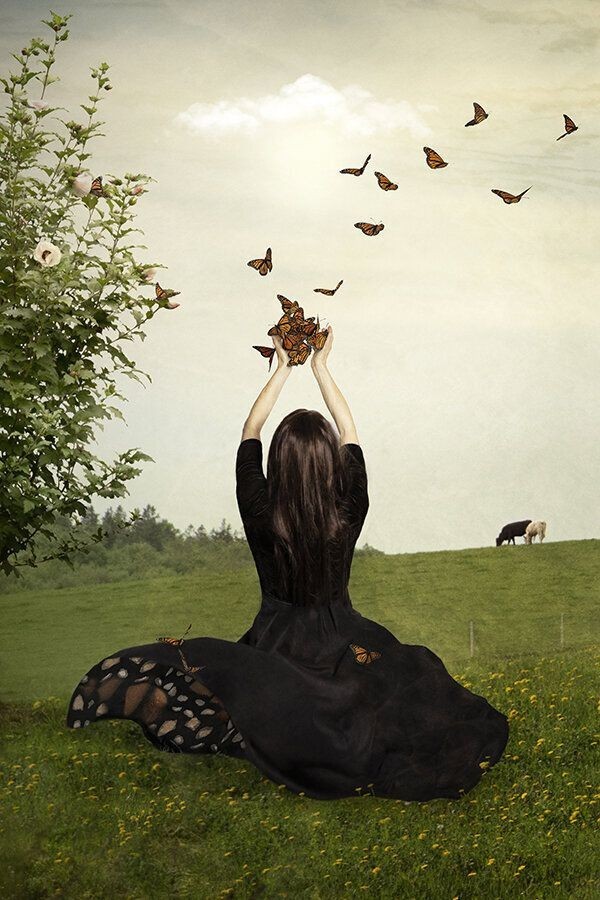 🦋Her şey bir şeyleri etkiler 🦋