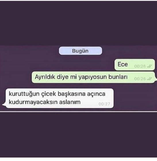 Eski sevgilinizle arkadaş kalsaydınız ona karışır mıydınız?