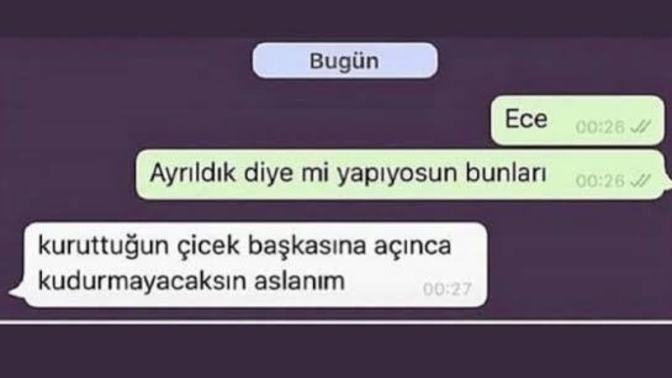 Eski sevgilinizle arkadaş kalsaydınız ona karışır mıydınız?