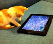Laptop mu yoksa tablet mi daha iyi?