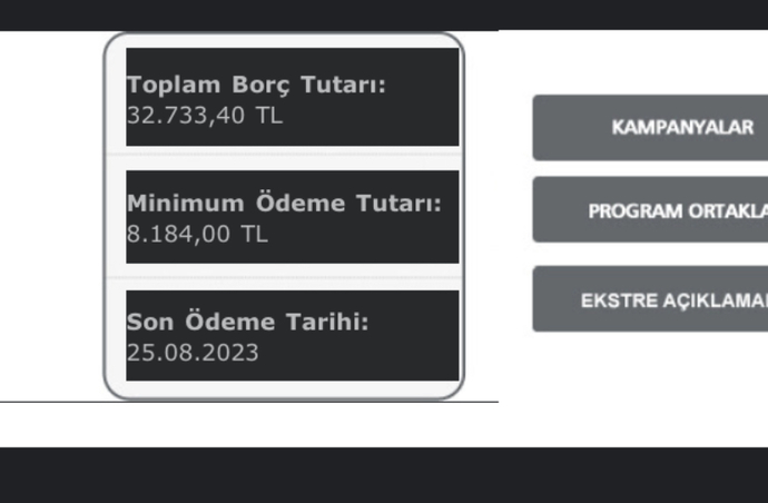 Kredi borcumu ödeyecek zengin koca bulabilir miyim?