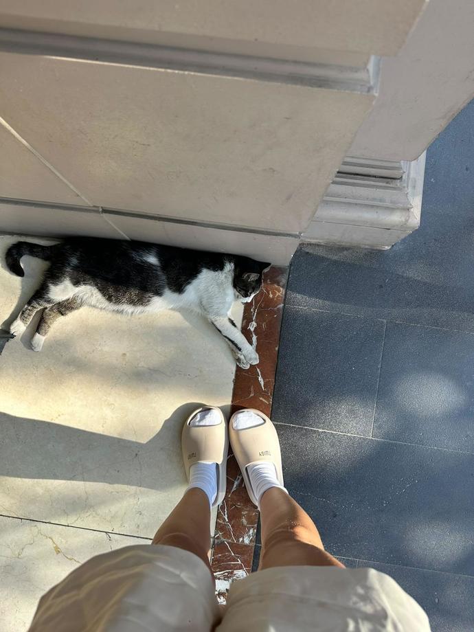 En son neyin fotoğrafını çektiniz?
