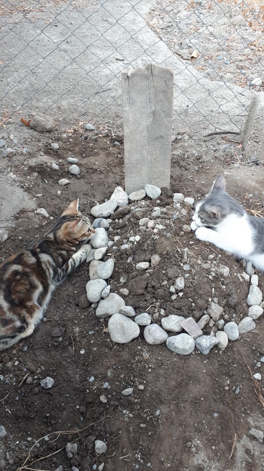 En son neyin fotoğrafını çektiniz?