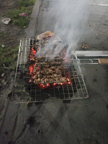 Mangal sever misiniz?
