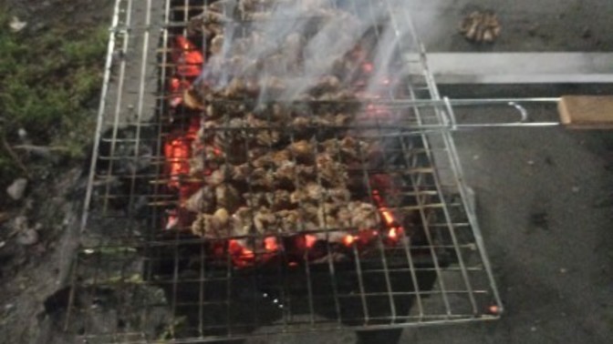 Mangal sever misiniz?