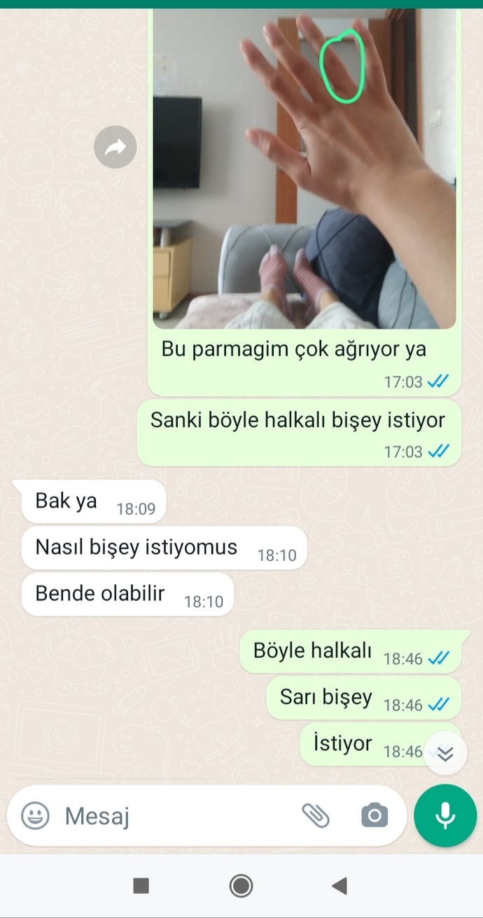 Bu işin oluru yok mu dersiniz?